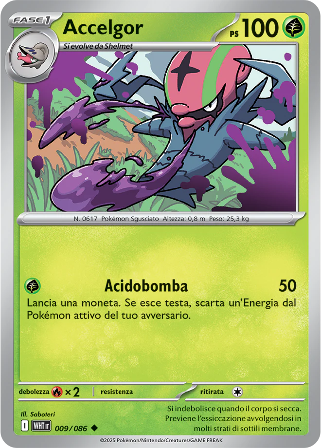 Immagine prodotto 1