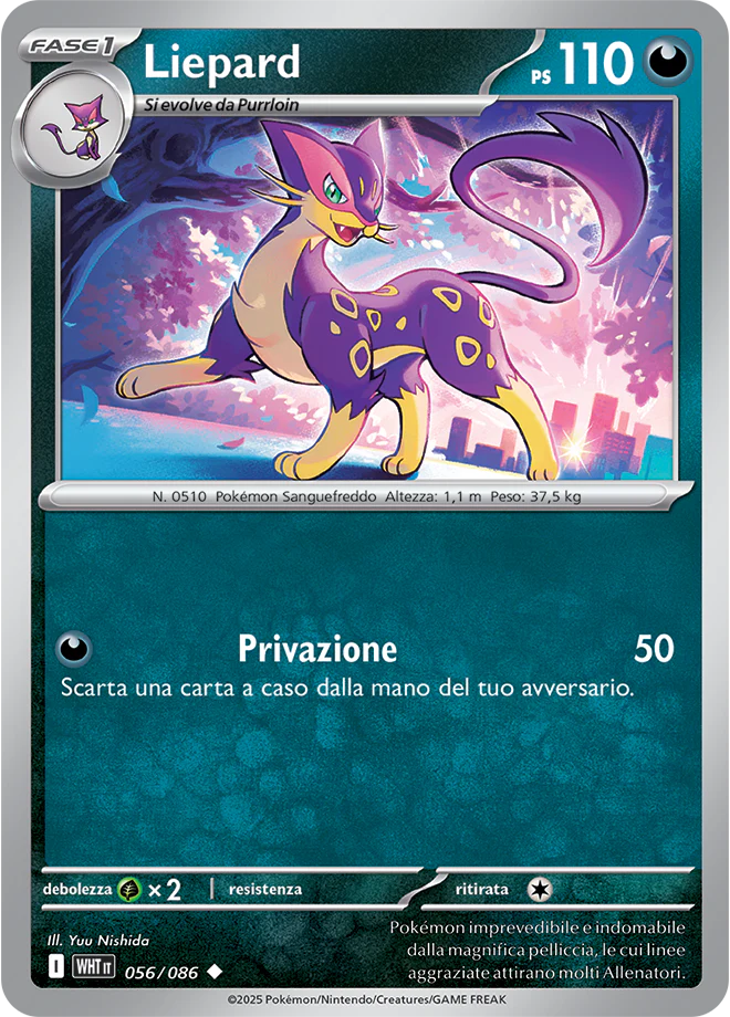 Immagine prodotto 1