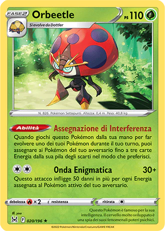 Immagine prodotto 1