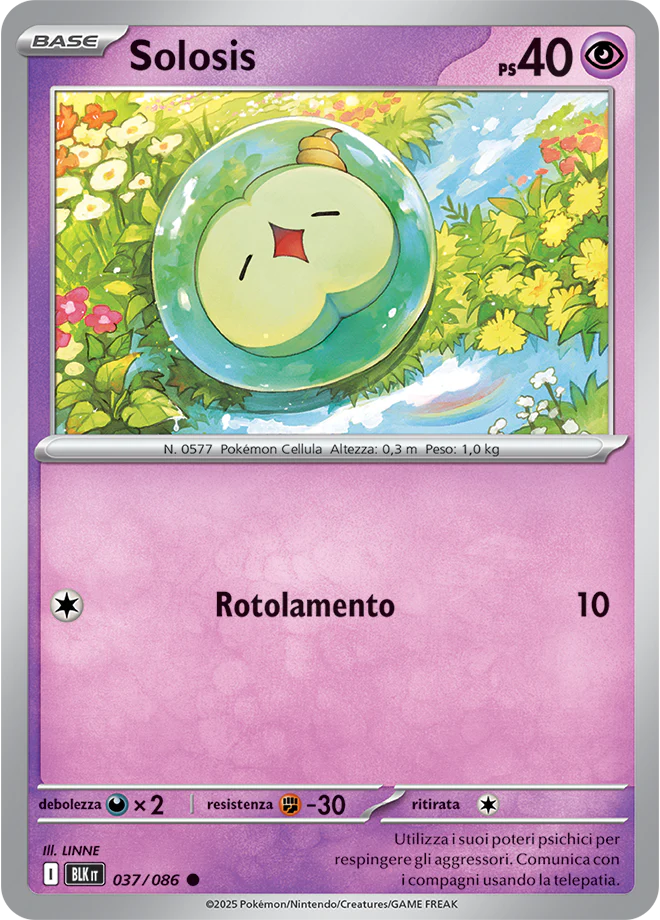 Immagine prodotto 1
